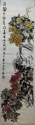 金韵 菊花