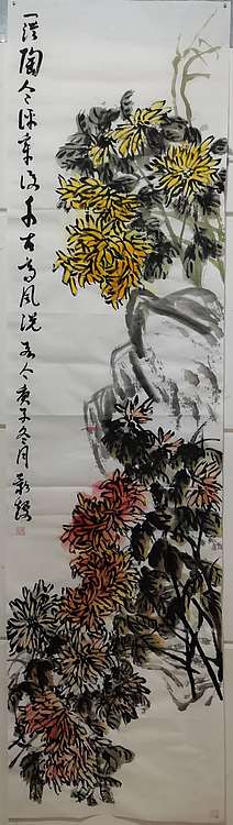 金韵 菊花