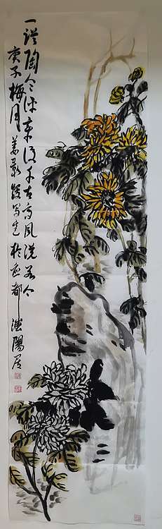 金韵 菊花