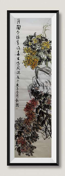 金韵 菊花