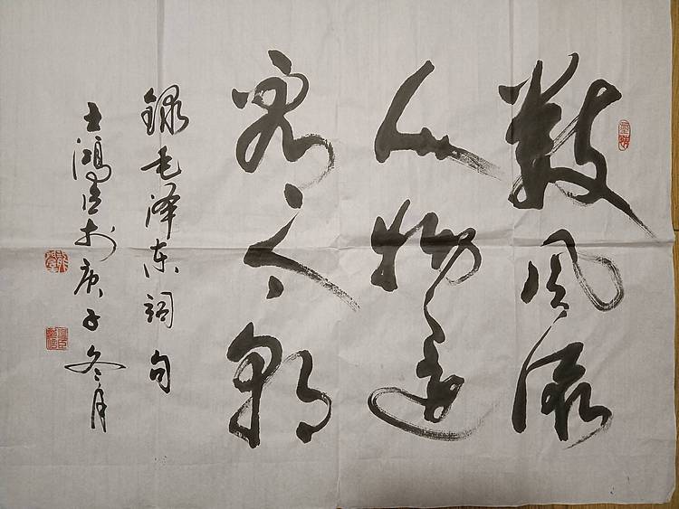 王洪臣 毛泽东词一首