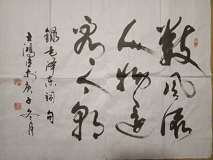 王洪臣 毛泽东词句