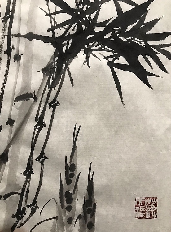 中国书画收藏家协会会员 泓靖 清风靓影