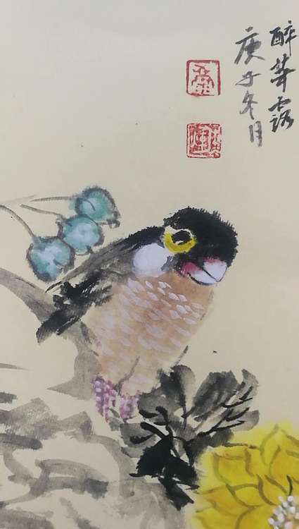 斯幽 菊艳图
