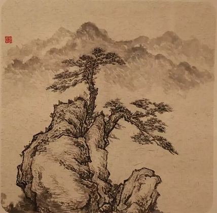 中国民族大学研究生王子瑜精品惠民