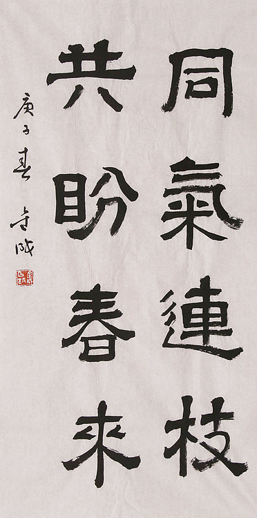 当代实力派青年艺术家 艺术学博士后 中美协中书协双会员 苏轼后人 苏金成 书法作品