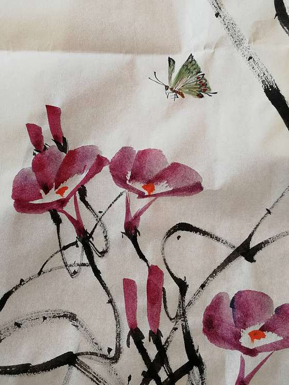 赵学军 花香蝶自来