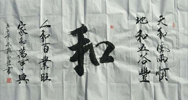 苏永强 中国书画家协会会员苏永强书法作品