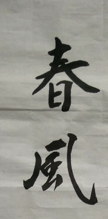 苏永强 中国书画家协会会员书法作品