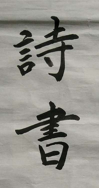 苏永强 中国书画家协会会员苏永强书法作品