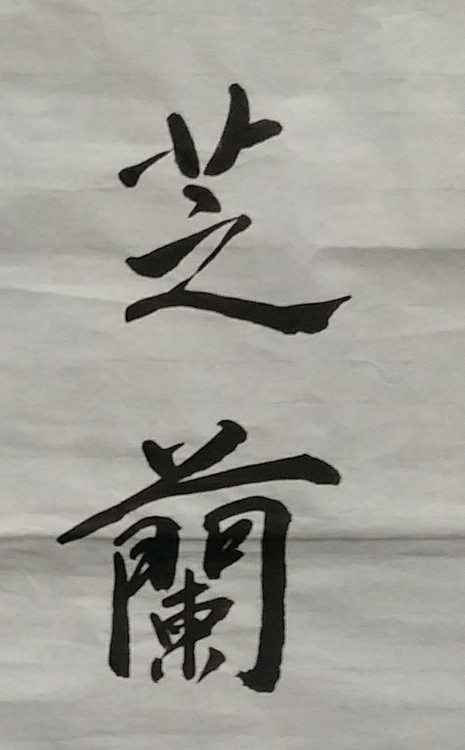 苏永强 中国书画家协会会员书法作品
