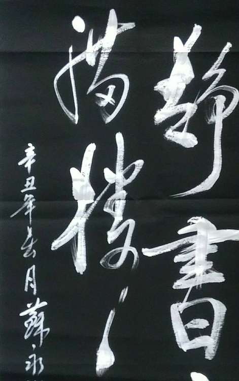 苏永强 中国书画家协会会员书法作品