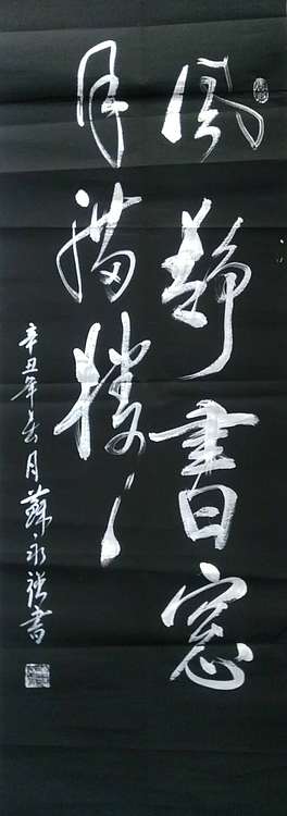 苏永强 中国书画家协会会员书法作品