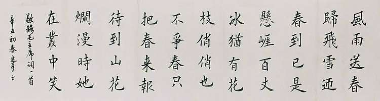 陈连峰 卜算子咏梅