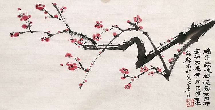 绍静 红梅