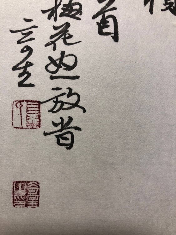 湖北省书协副主席 中国书法家协会行书评展委员 夏奇星40
