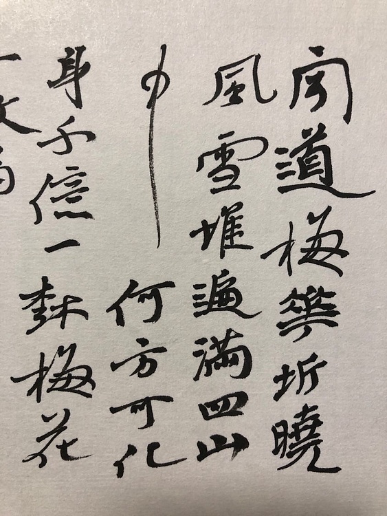 湖北省书协副主席 中国书法家协会行书评展委员 夏奇星40