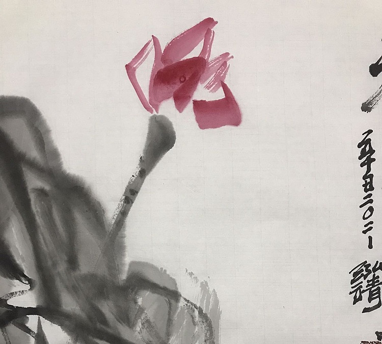 中国书画收藏家协会会员 泓靖 禅韵清莲