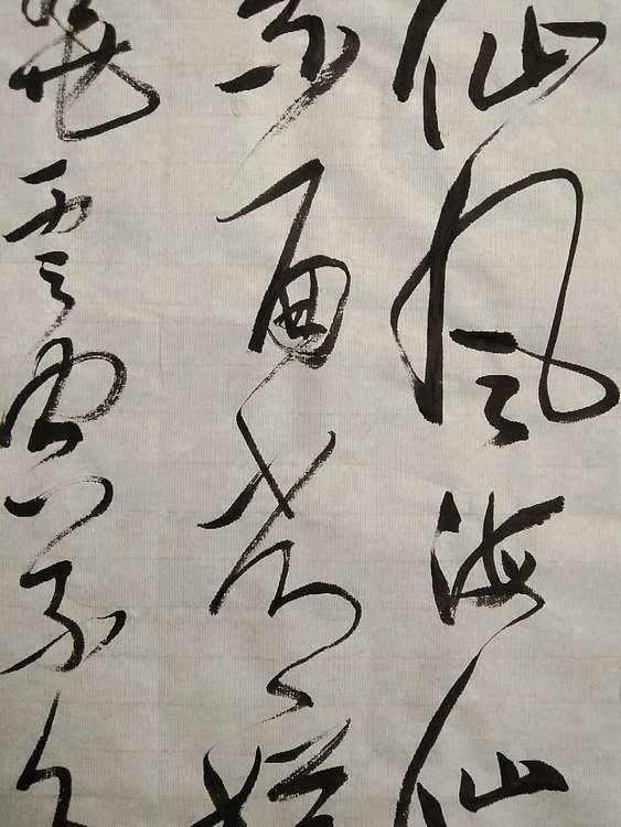 三骏堂 苏轼词一首，西江月 梅花