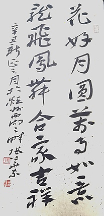 中国书协会员 安徽省书协理事 张东华