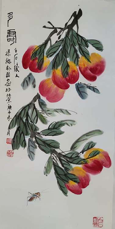 72 名家后裔&mdash;&mdash;白石孙媳 朴喆 多寿