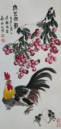 白石孙媳 多寿