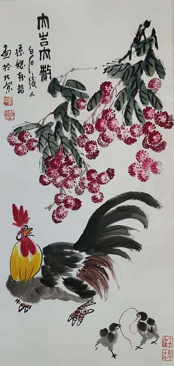 白石孙媳 多寿