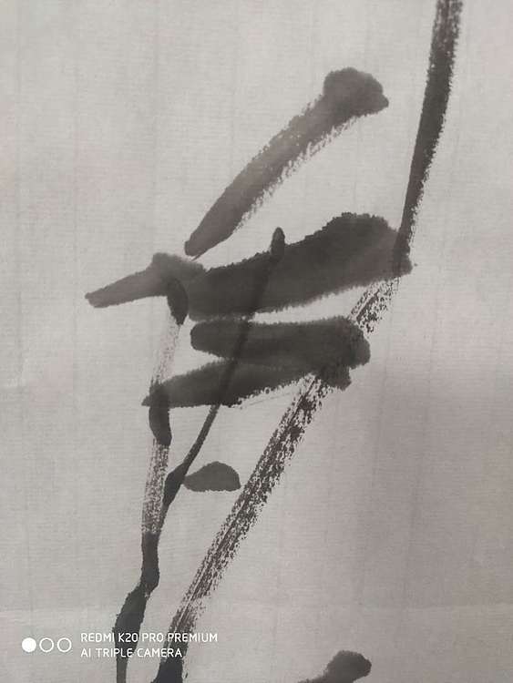 邵雪源 牛年吉祥迎春竹