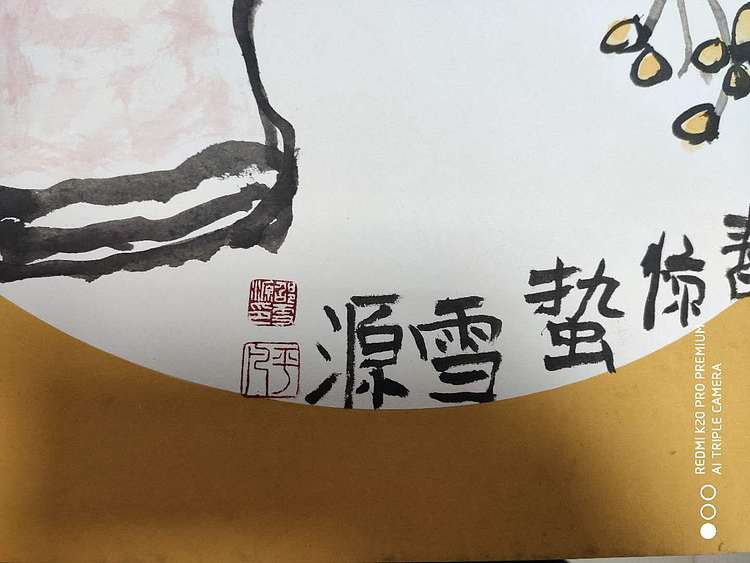 邵雪源 枇杷图