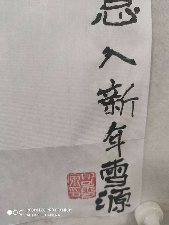 邵雪源 牛年吉图