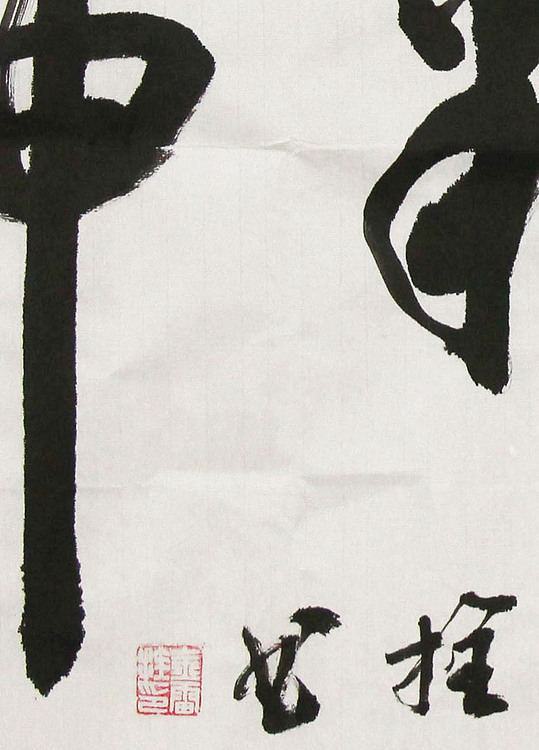 长安书画研究员 金雷拴 书法
