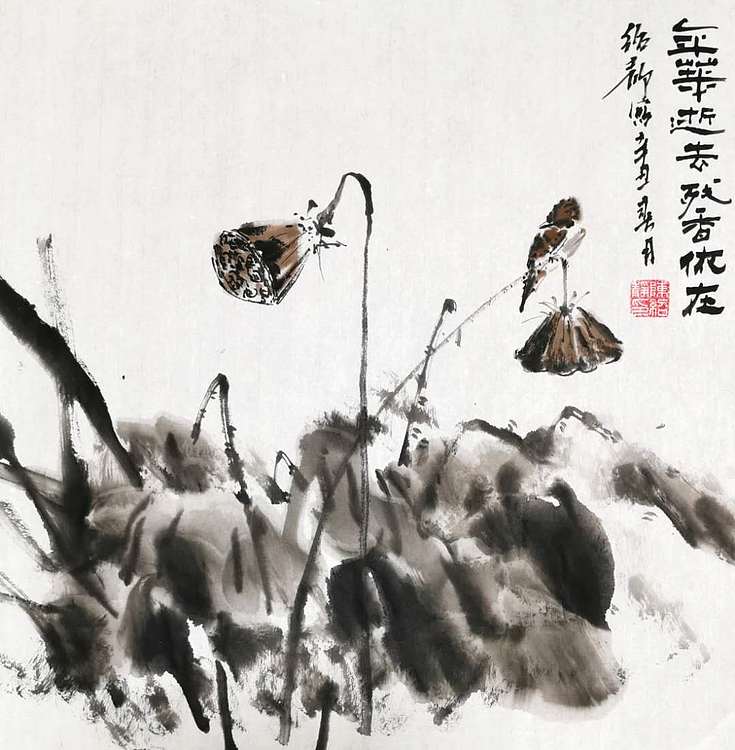 绍静 年华