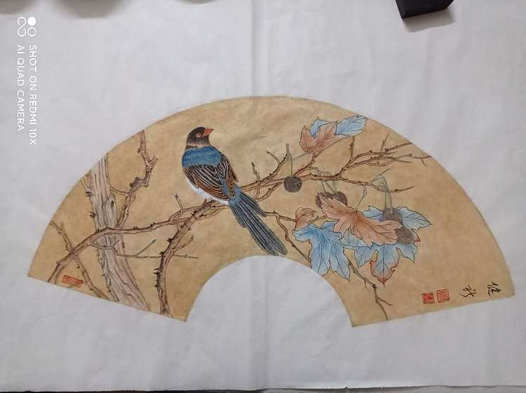 镜花水月 冷艳