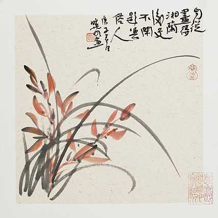 职业艺术家 韩晓明 精品兰花