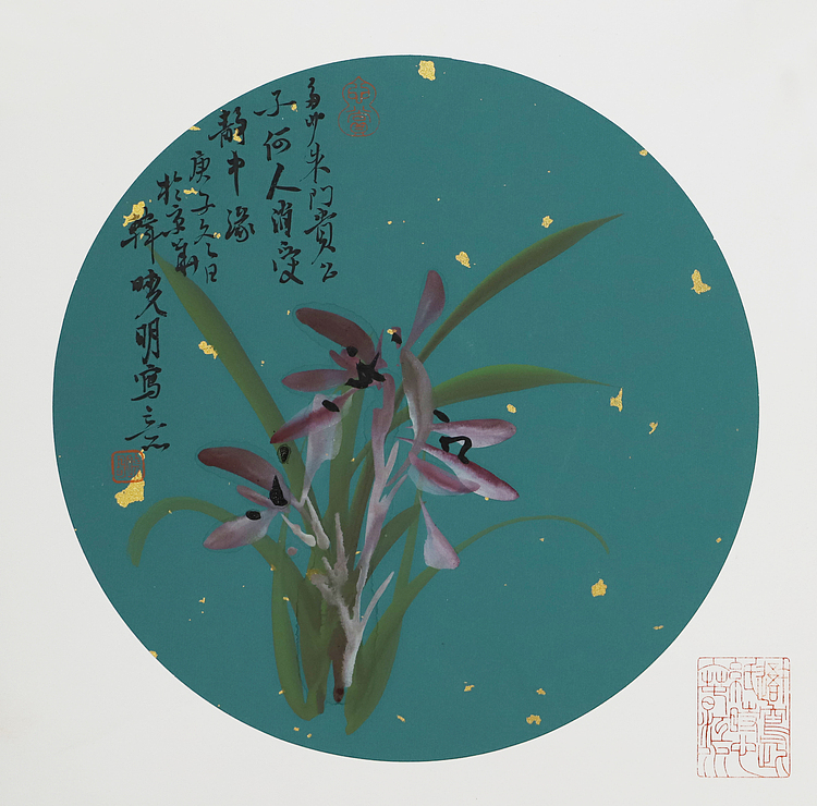 韩晓明 精品兰花