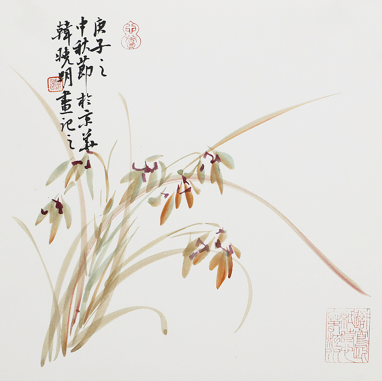 职业艺术家 韩晓明 精品兰花