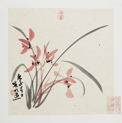 职业艺术家 韩晓明 精品兰花