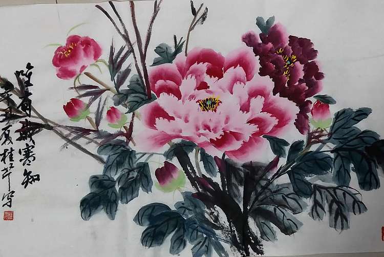 青年书画家 闫桂芹 富贵平安牡丹