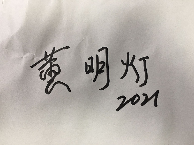 黄明灯手绘油画作品《美景》
