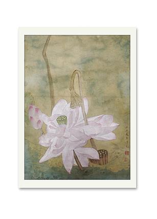 青年艺术家 湖北美协 新锐画家  李泽兑 花鸟画