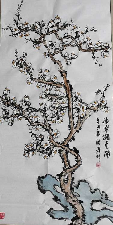 洪君 凌寒独自开
