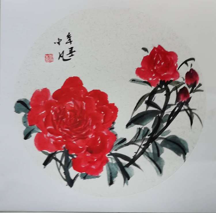 兰花 月月开