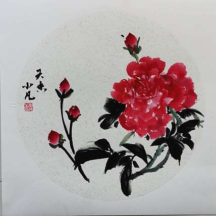 兰花 月季