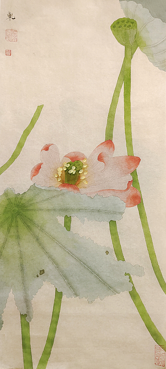 青年艺术家 湖北美协 新锐画家 李泽兑 精品花鸟
