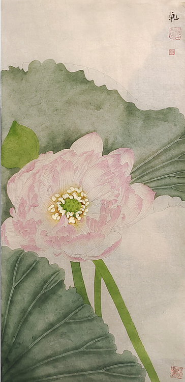 青年艺术家 湖北美协 新锐画家 李泽兑 精品花鸟