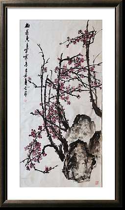 兰花 梅
