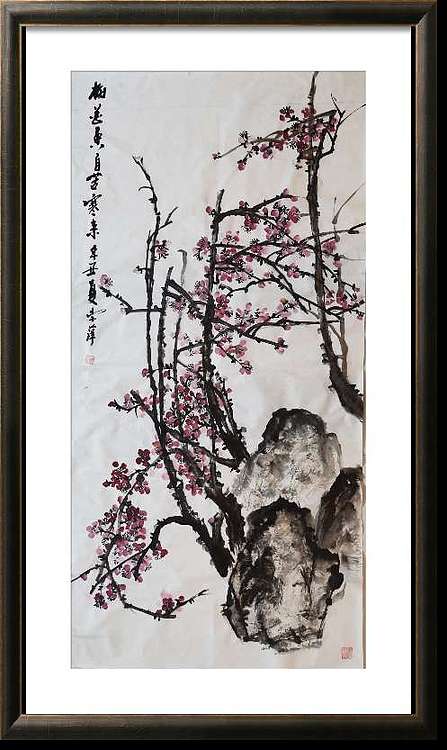 兰花 梅