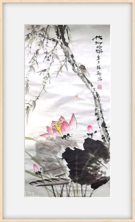 绍静 柳蝉