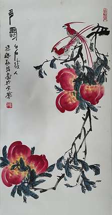 白石孙媳 多寿