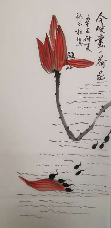 张玉柱 荷韵